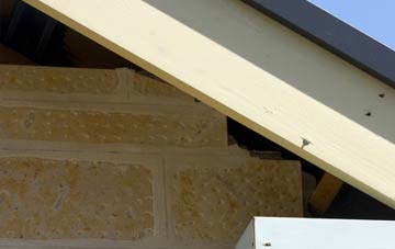 soffit repair Rhydd